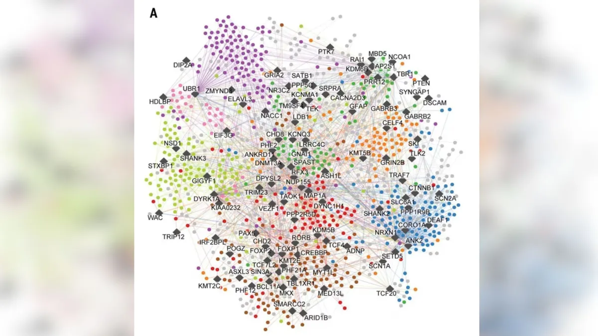 “Mapa” do autismo criado com inteligência artificial pode impulsionar terapias direcionadas